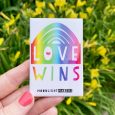 love wins magnet